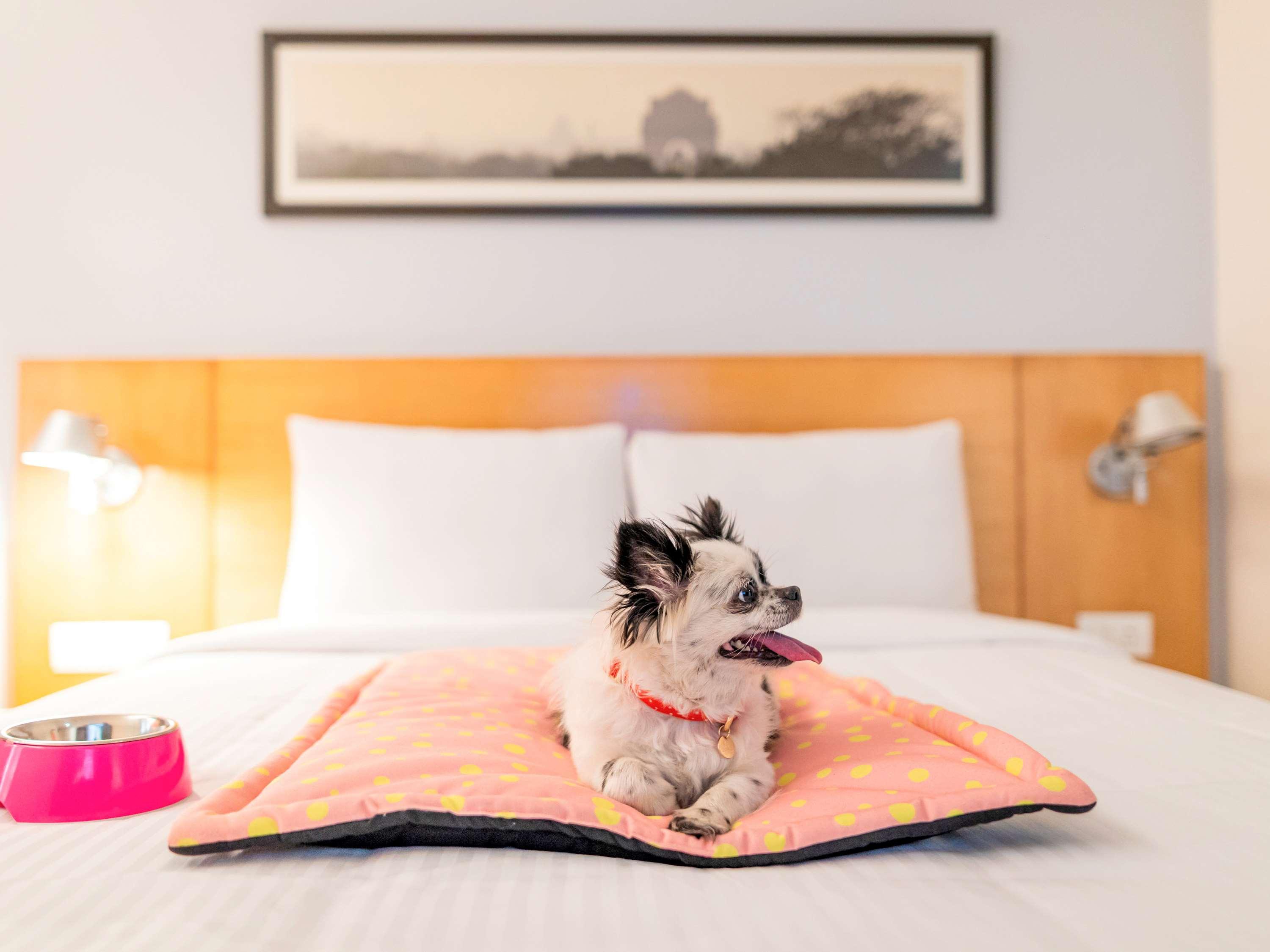 Ibis Kochi City Centre - An Accor Brand Eksteriør bilde