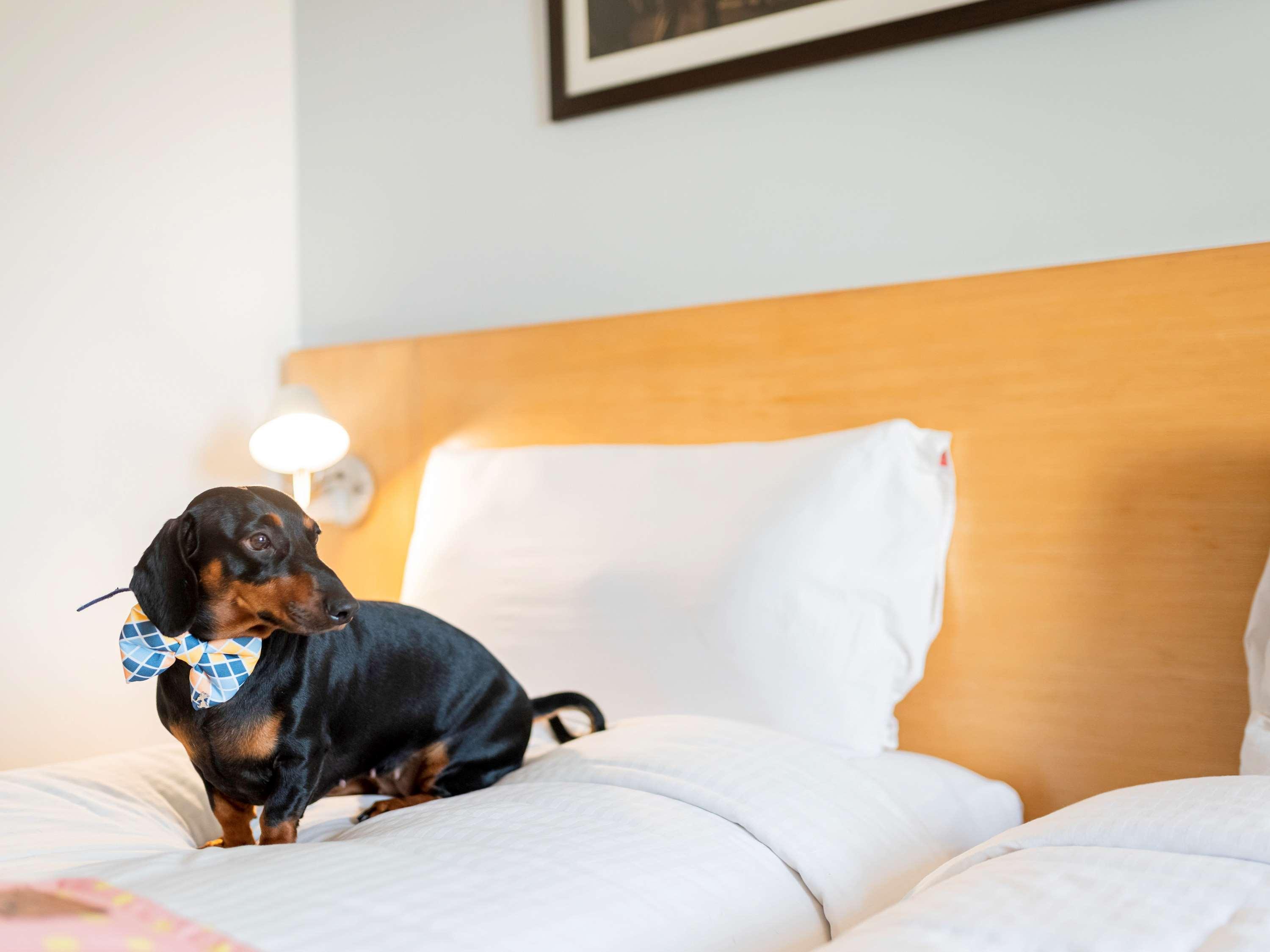 Ibis Kochi City Centre - An Accor Brand Eksteriør bilde
